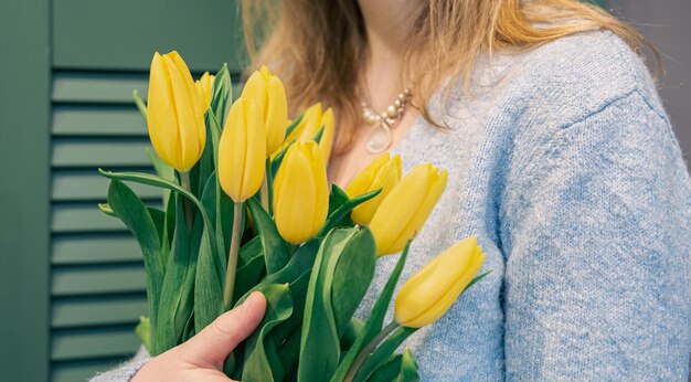 Primo piano tulipani gialli in mani femminili fiori primaverili