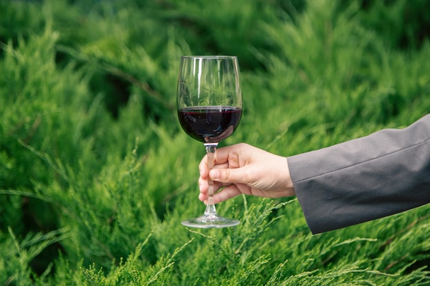 Primo piano un bicchiere di vino rosso sullo sfondo di cespugli verdi