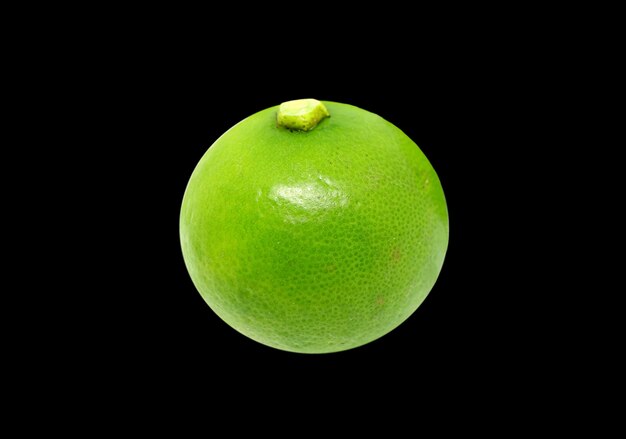 Primo piano un vivace verde lime indiano occidentale isolato su sfondo nero