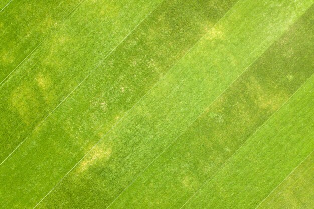 Primo piano vista aerea della superficie dell'erba verde appena tagliata sullo stadio di calcio in estate.