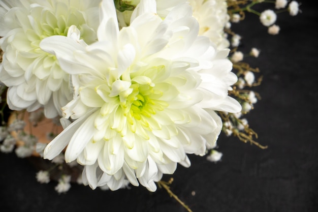 primo piano vista dal basso fiori da sposa bianchi su sfondo scuro