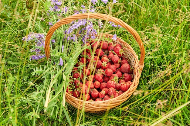 Primo piano vista dall'alto di un cesto con un raccolto di fragole e un bouquet di fiori di campo