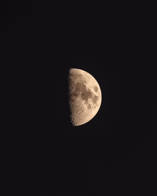 Primo quarto di luna in un cielo notturno nero.