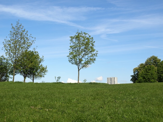 Primrose Hill, Londra