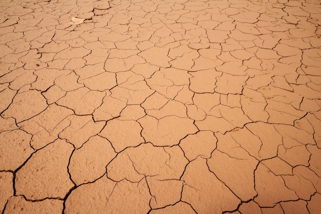 Priorità bassa a terra craked asciutta, struttura al suolo del terreno