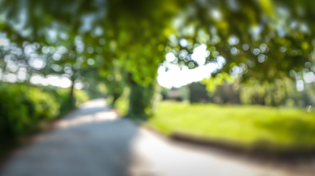 Priorità bassa astratta della natura. Sfondo bokeh sfocato. Sfondo sfocato verde naturale con alberi, foglie e riflessi di luce solare