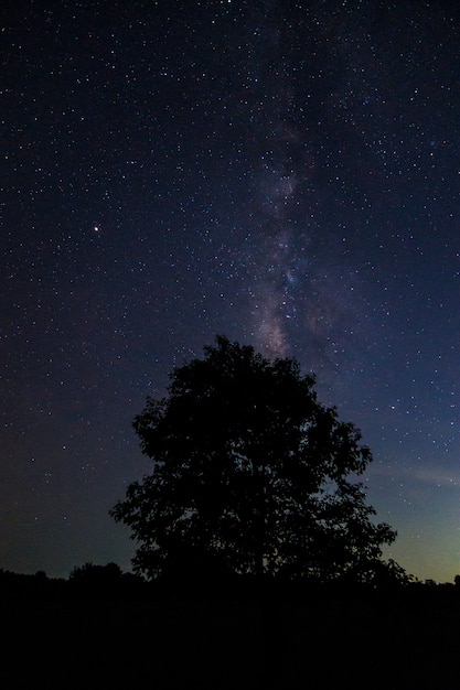 Priorità bassa del cielo di notte e Milkyway