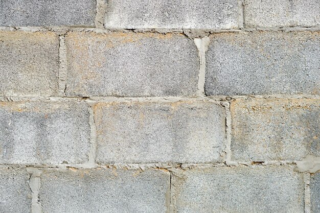 Priorità bassa del muro di mattoni e del cemento