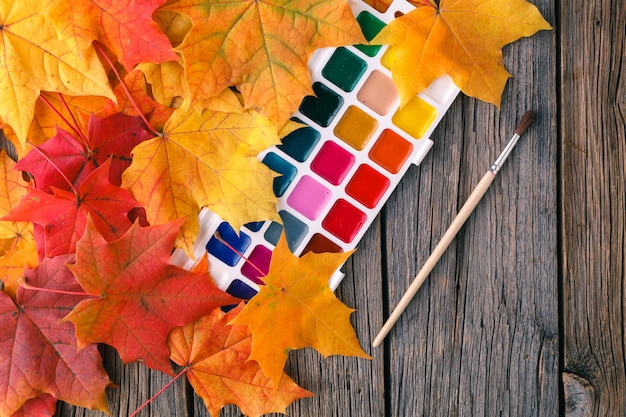 Priorità bassa della pittura di arte creativa di autunno con le matite e le foglie di acero