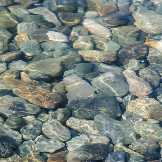 Priorità bassa delle pietre colorate mare sotto acqua.