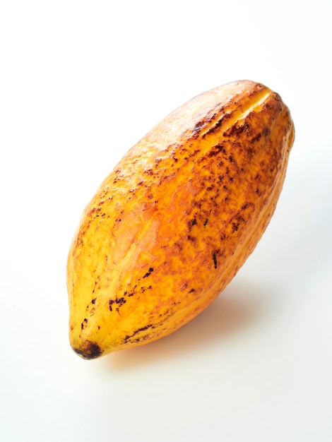 Priorità bassa di bianco del baccello di frutta fresca del cacao