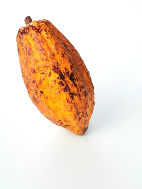 Priorità bassa di bianco del baccello di frutta fresca del cacao