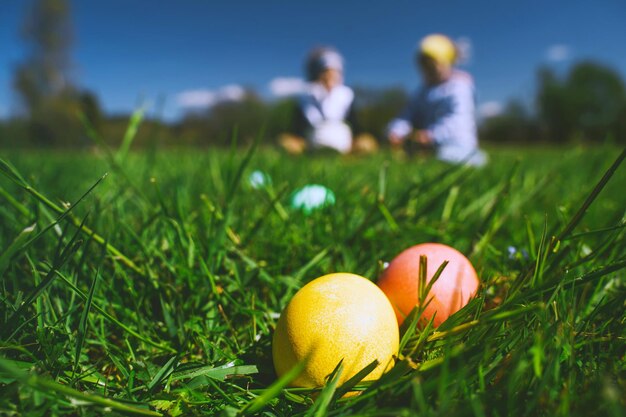 Priorità bassa di caccia delle uova di Pasqua