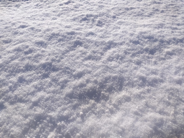 Priorità bassa di inverno di struttura della neve. Gelo pulito del modello bianco della natura. Carta da parati astratta strutturata di Natale.