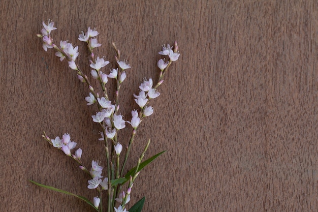 Priorità bassa di legno dell&#39;annata con i fiori dentellare