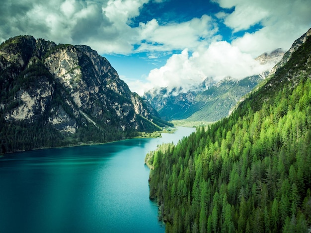 Priorità bassa di paesaggio del lago e della foresta