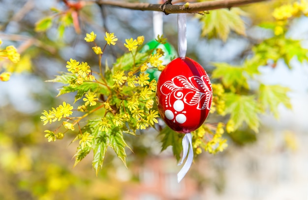 Priorità bassa di Pasqua Grean con uova di legno sull'albero