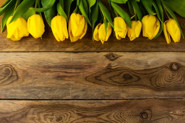 Priorità bassa di riga dei tulipani gialli