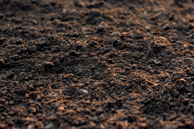 Priorità bassa di struttura del suolo, terreno fertile per la semina.