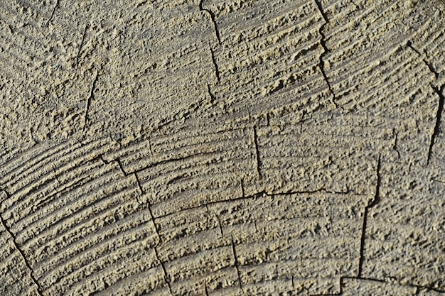 Priorità bassa di struttura di legno. La trama a contrasto delle tavole. Struttura in legno con ripresa macro.