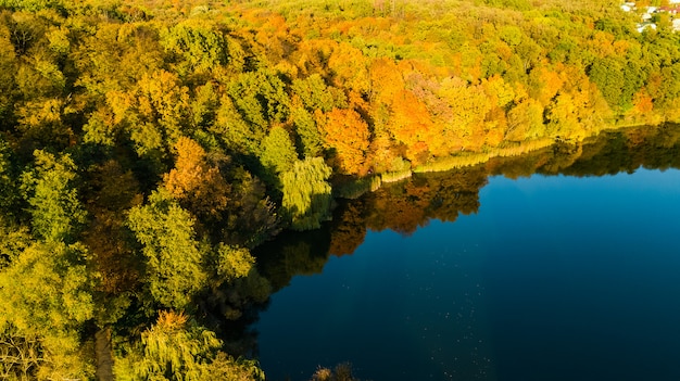 Priorità bassa dorata di autunno, vista aerea del fuco della foresta con gli alberi gialli e bello paesaggio del lago da sopra, Kiev, foresta di Goloseevo, Ucraina
