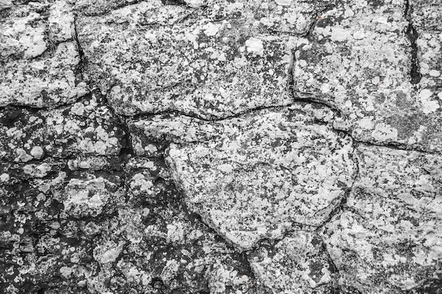 Priorità bassa e struttura delle pietre naturali. Texture di roccia