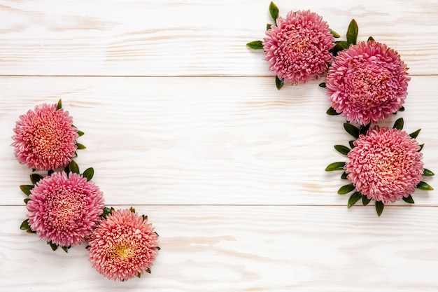 Priorità bassa floreale di autunno - aster rosa sulla tavola di legno bianca.