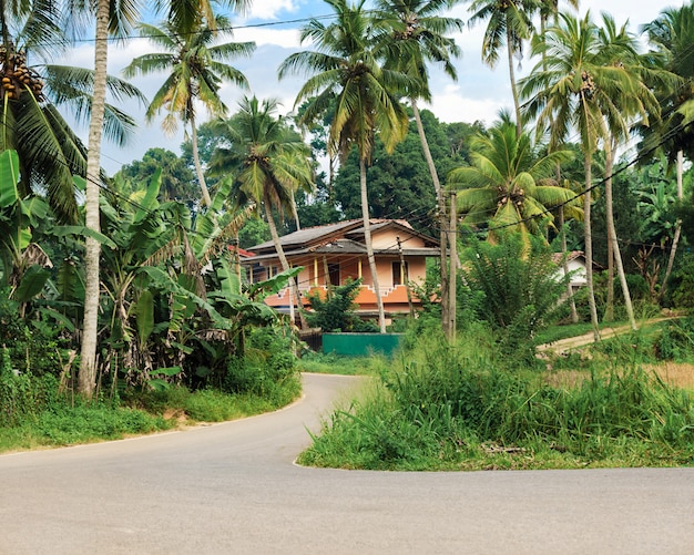 Privacy e tranquillità del concetto in un posto tranquillo sull'isola tropicale - strada che conduce alla grande casa, circondata da palme da cocco e piante verdi.