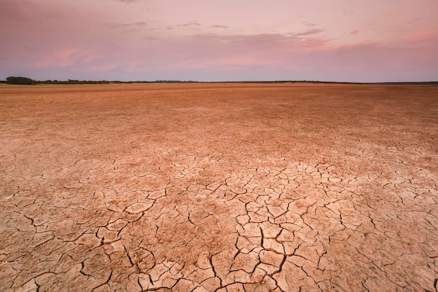 Processo di desertificazione della terra fessurata Provincia La Pampa Patagonia Argentina