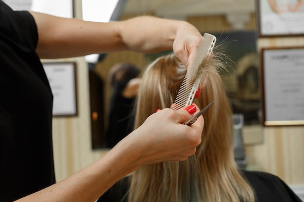 processo di tagli di capelli. il parrucchiere taglierà le estremità dei capelli biondi ben curati. maestro dei capelli. corsi per parrucchieri.