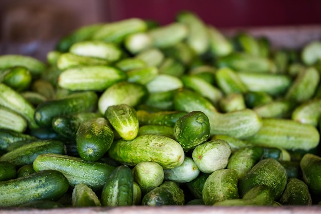 Prodotti biologici freschi in vendita presso il mercato degli agricoltori locali.