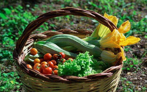 Prodotti dell'orto della campagna italiana