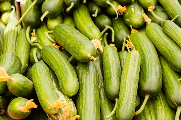 Prodotti freschi al mercato degli agricoltori all'inizio dell'estate.