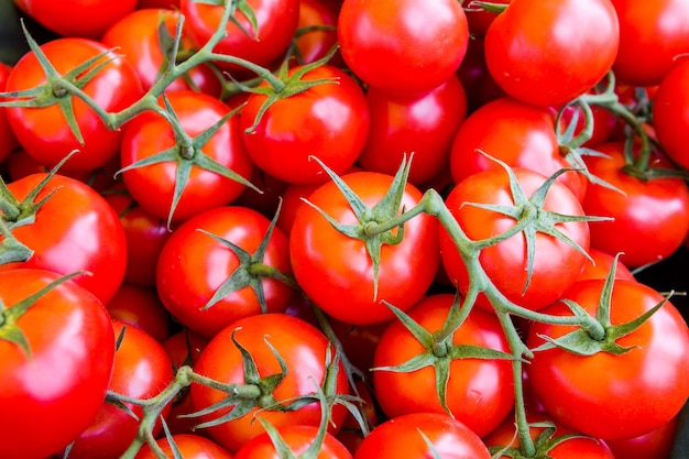 Prodotti freschi al mercato degli agricoltori all'inizio dell'estate.