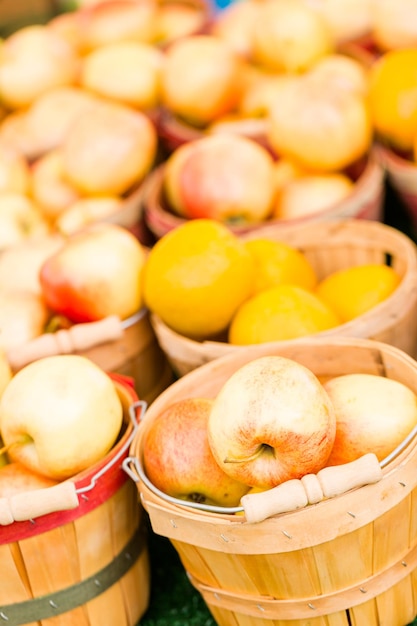 Prodotti freschi delle fattorie locali al mercato degli agricoltori.