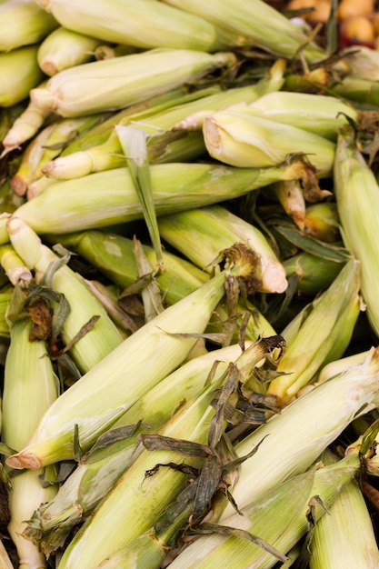 Prodotti freschi in vendita presso il mercato degli agricoltori locali.