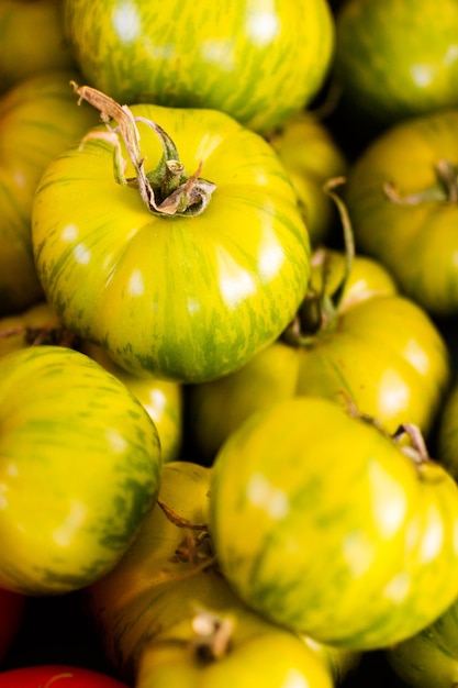 Prodotti freschi in vendita presso il mercato degli agricoltori locali.