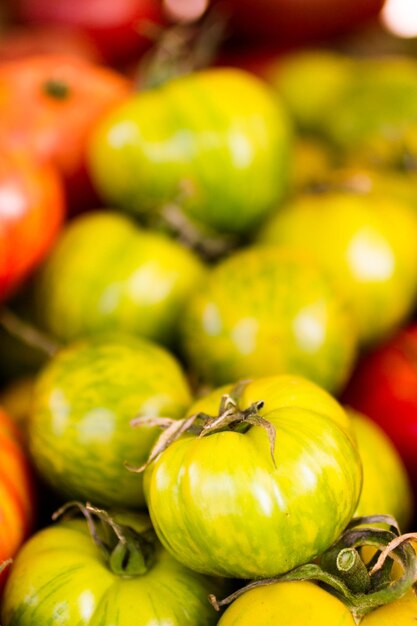 Prodotti freschi in vendita presso il mercato degli agricoltori locali.