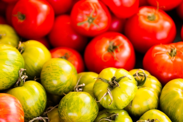 Prodotti freschi in vendita presso il mercato degli agricoltori locali.