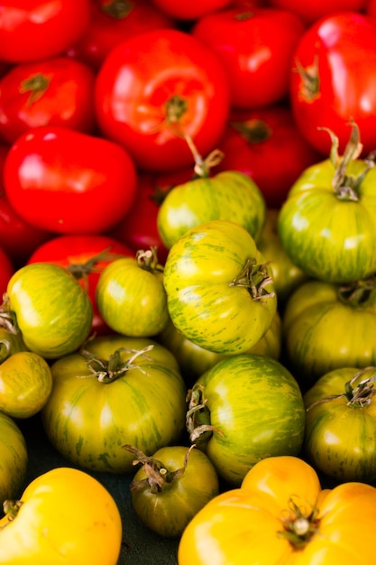 Prodotti freschi in vendita presso il mercato degli agricoltori locali.