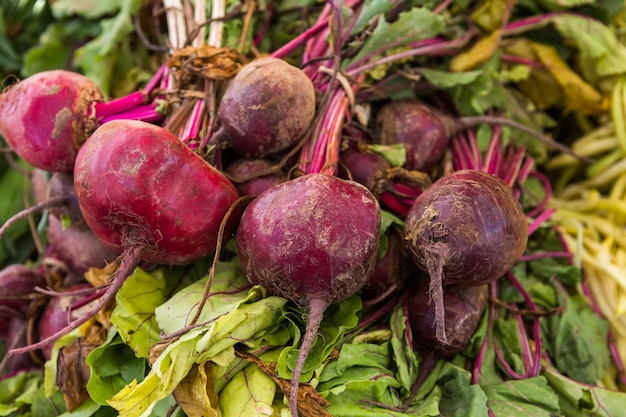 Prodotti locali al mercato estivo degli agricoltori della città.