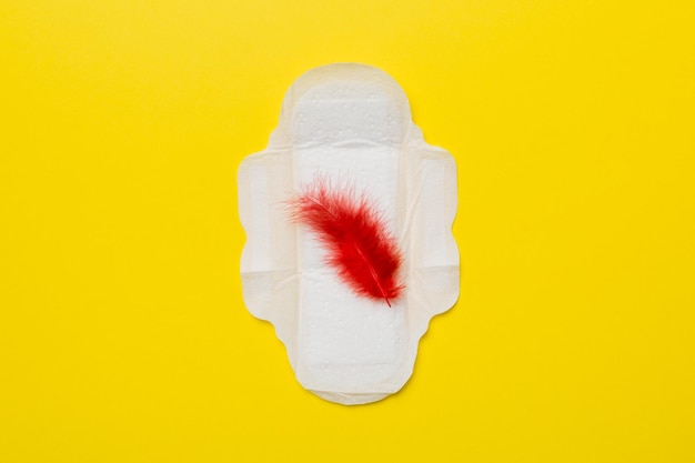 Prodotti per l'igiene delle donne o assorbenti con piuma rossa su sfondo colorato Colore pastello Primo piano Posto vuoto per il testo Igiene quotidiana femminile