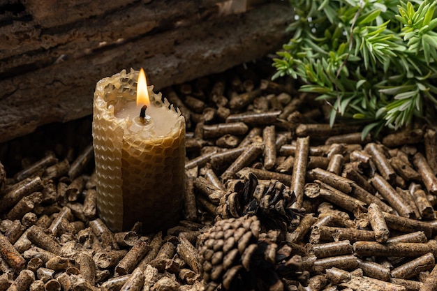 Produzione di pellet di legno Un tipo di combustibile legnoso