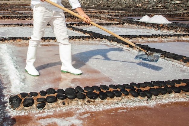 produzione di sale marino nelle saline di Fuerteventura