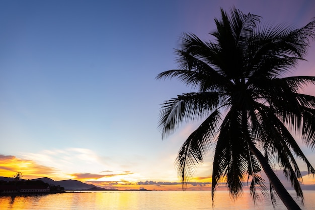 Profili il cocco con il tramonto sopra il mare in Koh Sam