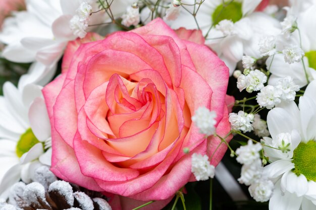 Profumo con rosa corallo lava. Sfondo di carta regalo di San Valentino