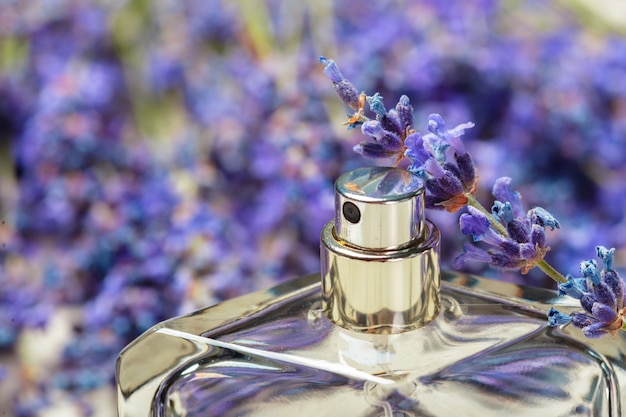 Profumo donna in bella bottiglia e fiori di lavanda