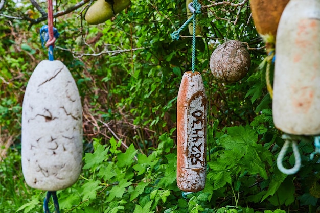 Proiettili di schiuma appesi ai rami degli alberi