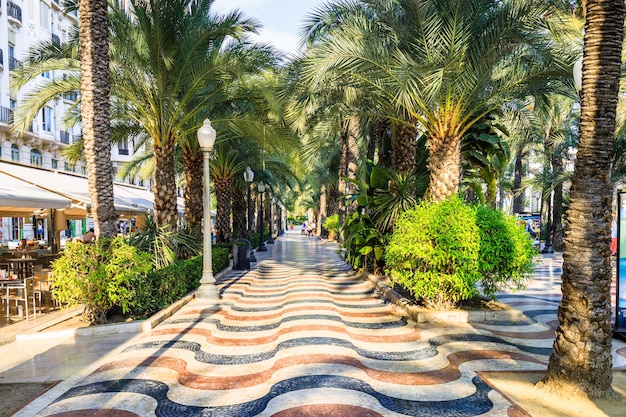 Promenade Explanada - vicolo delle palme Alicante, Spagna.