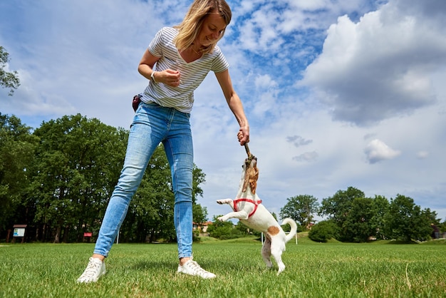 Proprietario cane da passeggio al campo verde